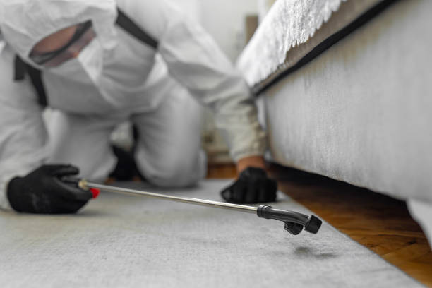 Professional Bed Bug Control technician working in Crystal Lake, FL